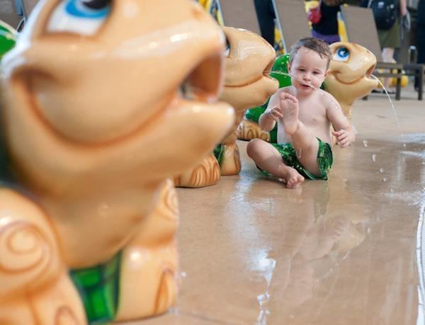Soaring Eagle Waterpark And Hotel ماونت بليزانت المظهر الخارجي الصورة